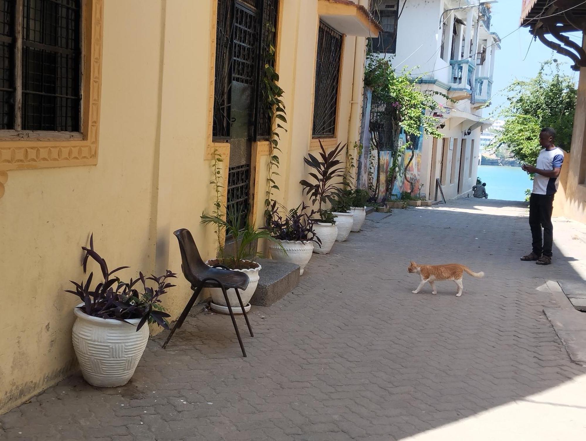 Mombasa Comfort House, Old Town المظهر الخارجي الصورة